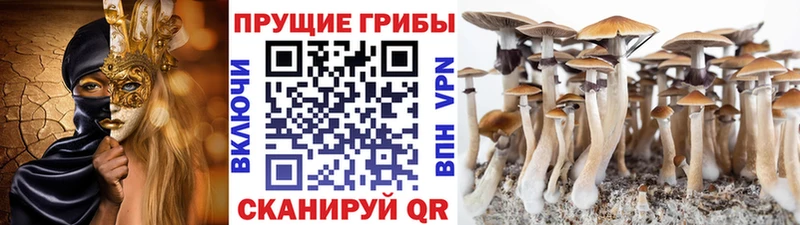 Галлюциногенные грибы мицелий  Абдулино 